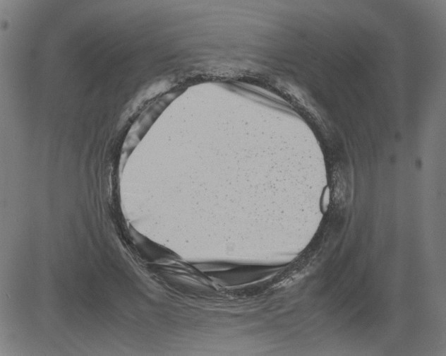 X0000081430685200702092200