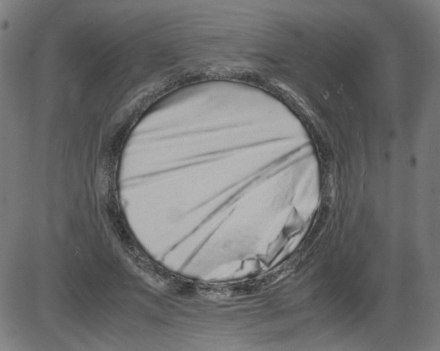 X0000081430687200702092200