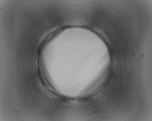 X0000081430688200702092200