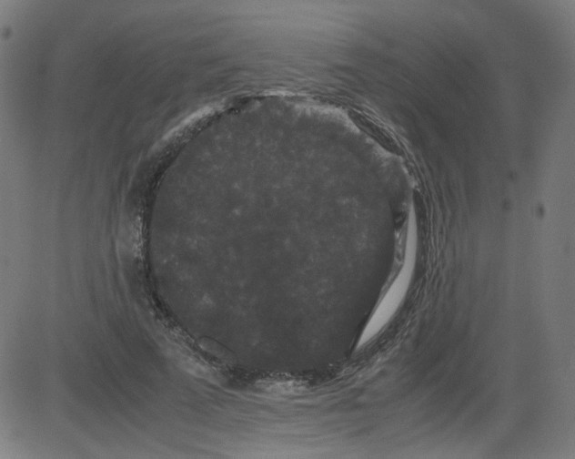 X0000081430689200702092200