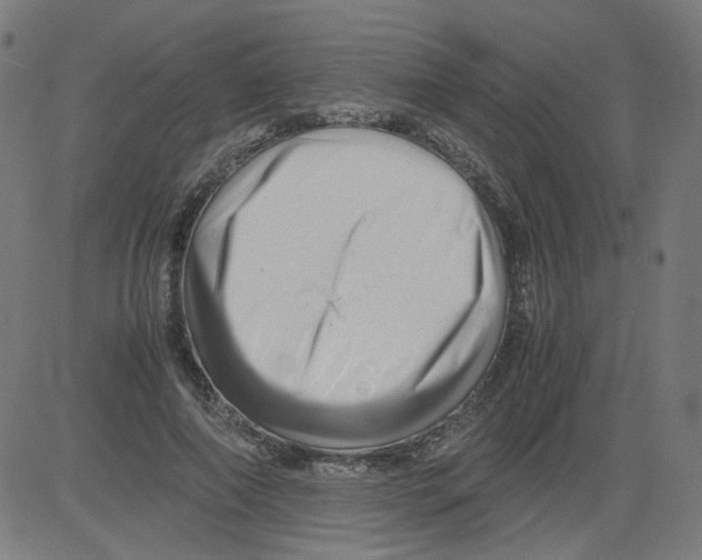 X0000081430690200702092200