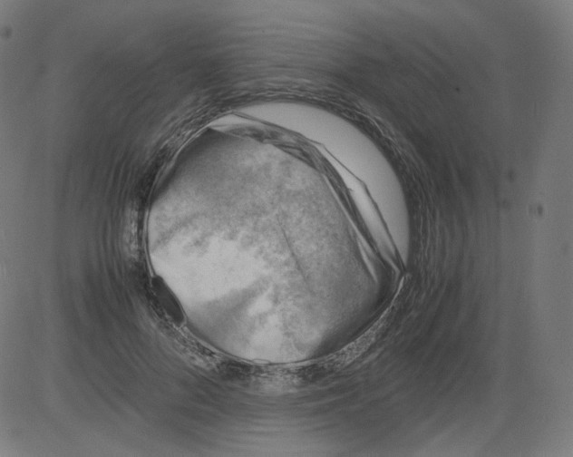 X0000081430696200702092200