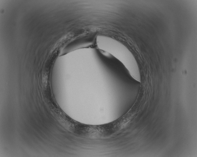 X0000081430697200702092200