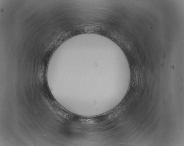 X0000081430698200702092200