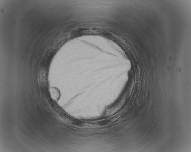 X0000081430699200702092200