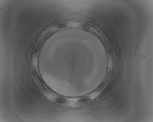 X0000081430701200702092200