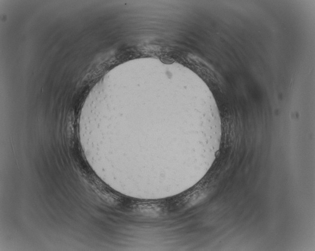 X0000081430702200702092200