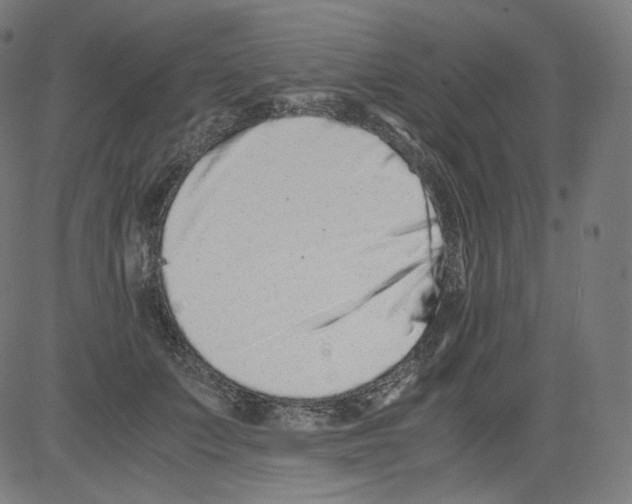 X0000081430703200702092200