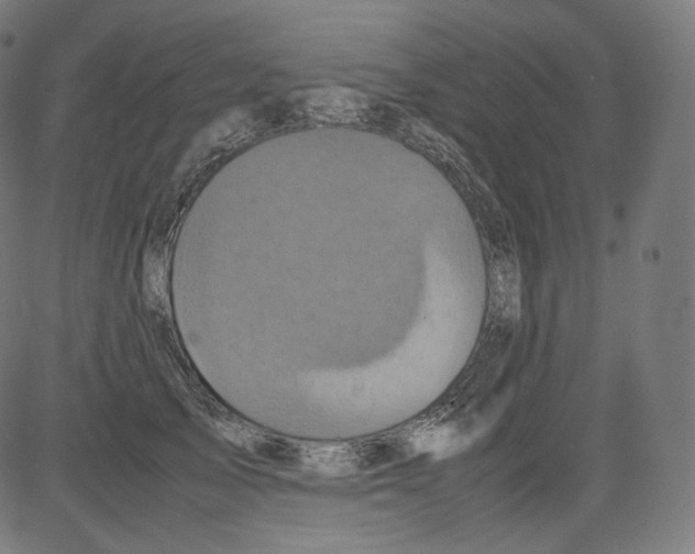 X0000081430705200702092200