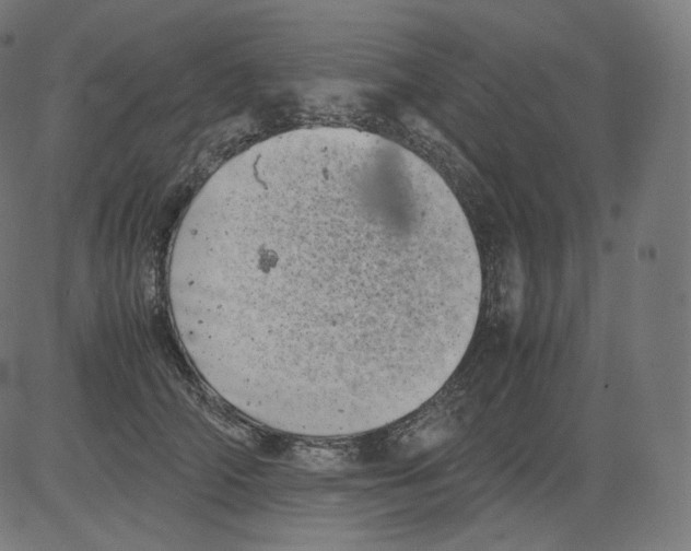 X0000081430706200702092200