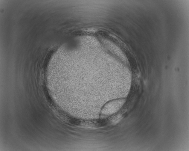 X0000081430707200702092200