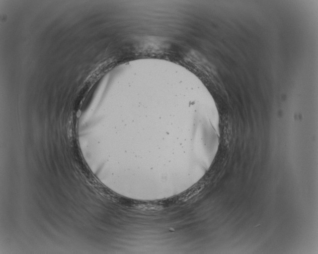 X0000081430708200702092200