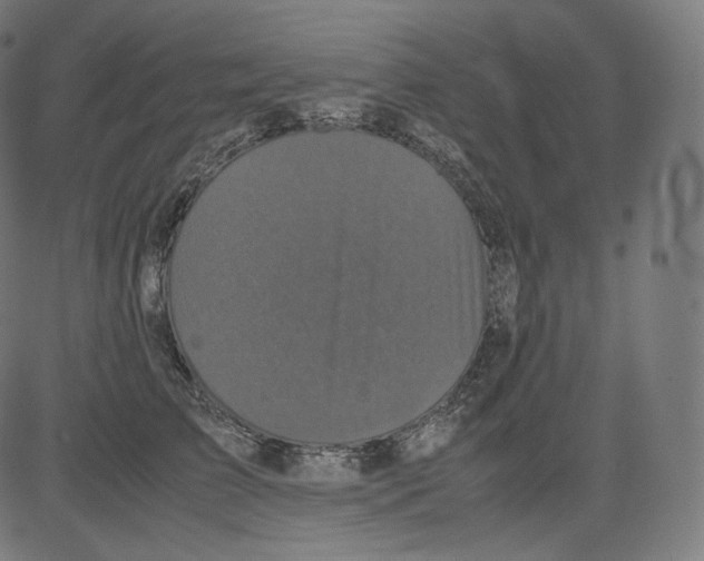 X0000081430709200702092200