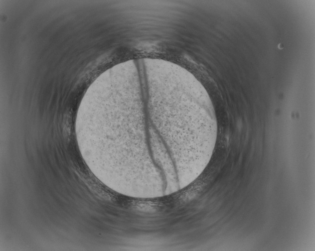 X0000081430710200702092200