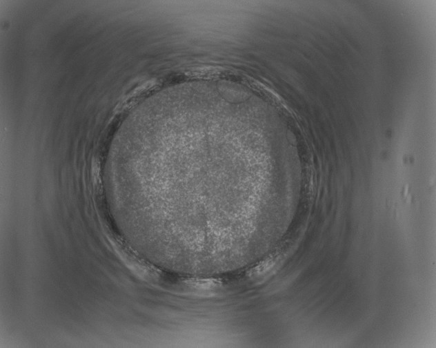 X0000081430711200702092159