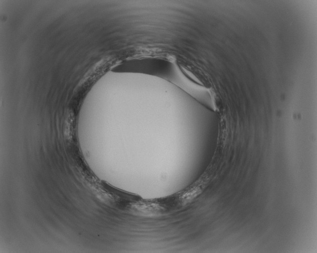 X0000081430712200702092159