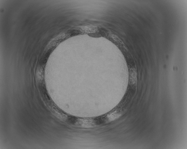 X0000081430713200702092159