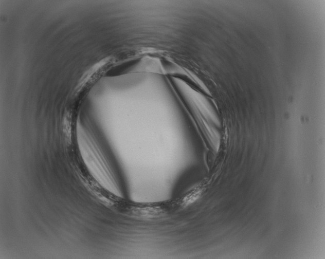 X0000081430716200702092159