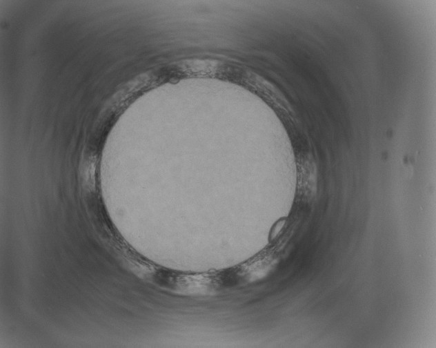 X0000081430717200702092159