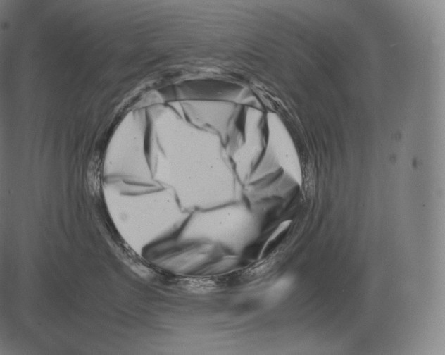 X0000081430719200702092159