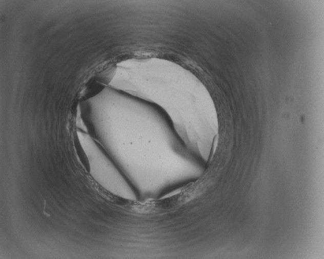 X0000081430720200702092159