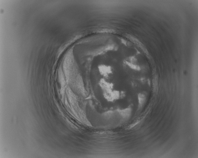 X0000081430721200702092159