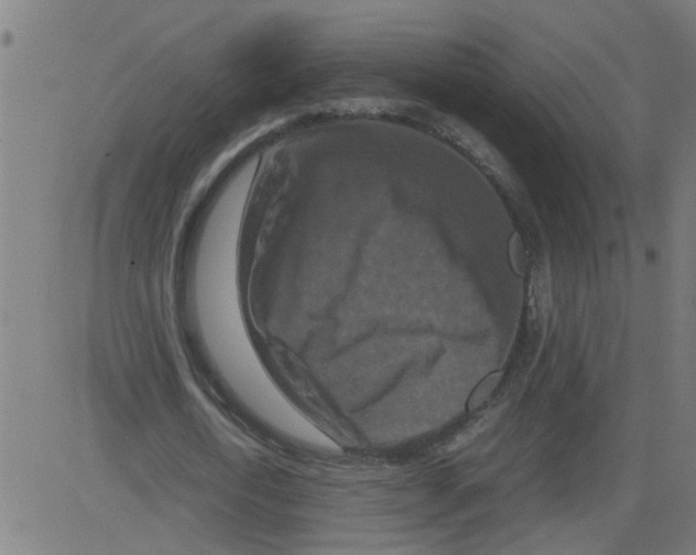 X0000081430722200702092159