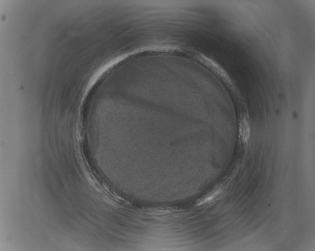 X0000081430724200702092159