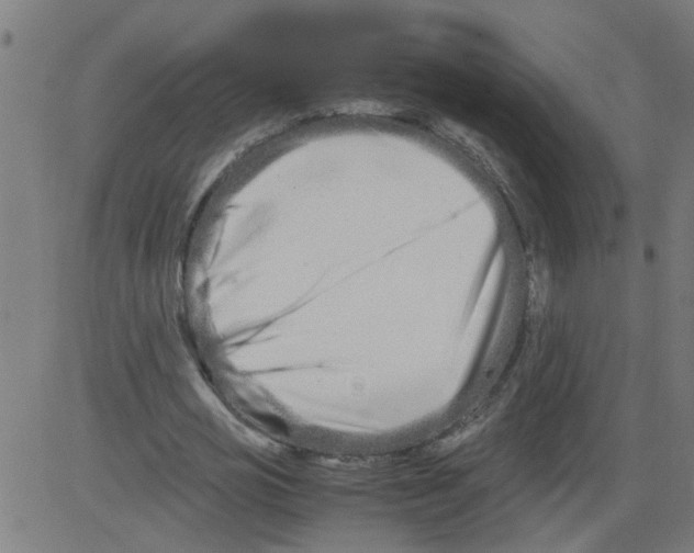 X0000081430725200702092159