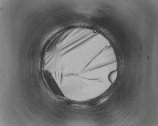 X0000081430727200702092159