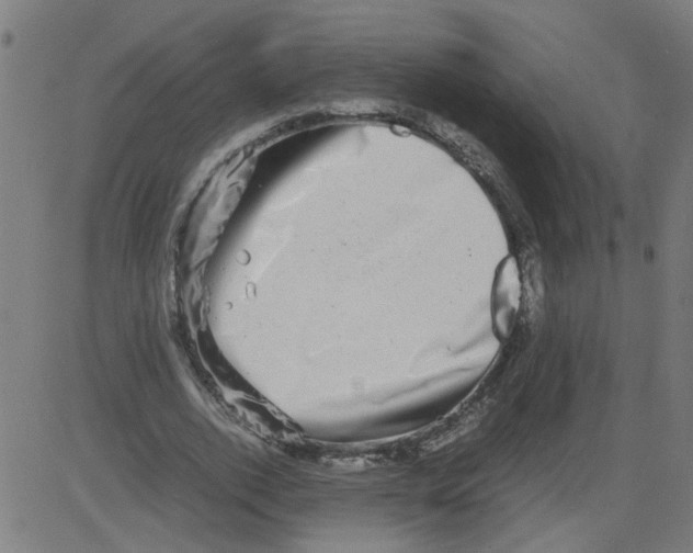 X0000081430728200702092159