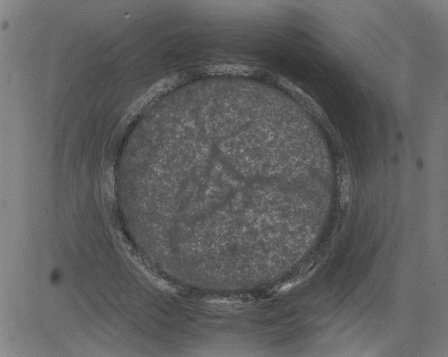 X0000081430729200702092159