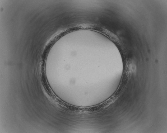 X0000081430730200702092159