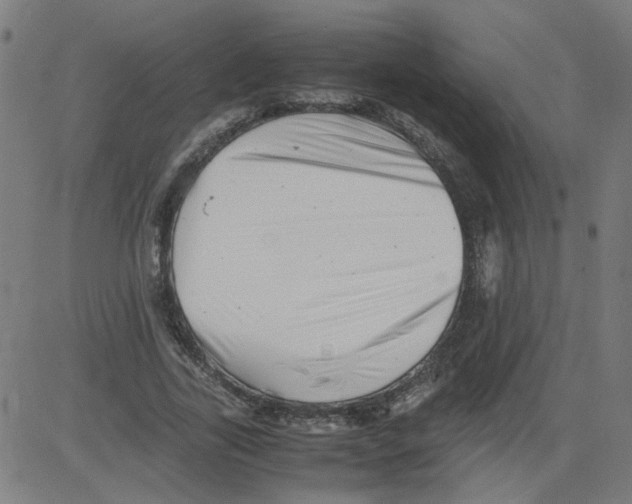 X0000081430731200702092159