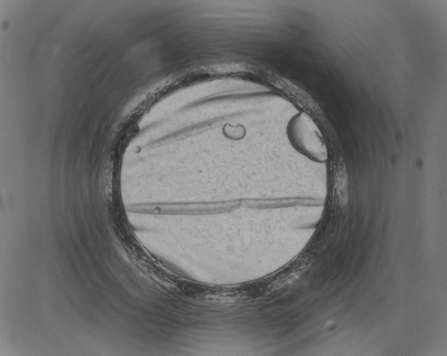 X0000081430732200702092159