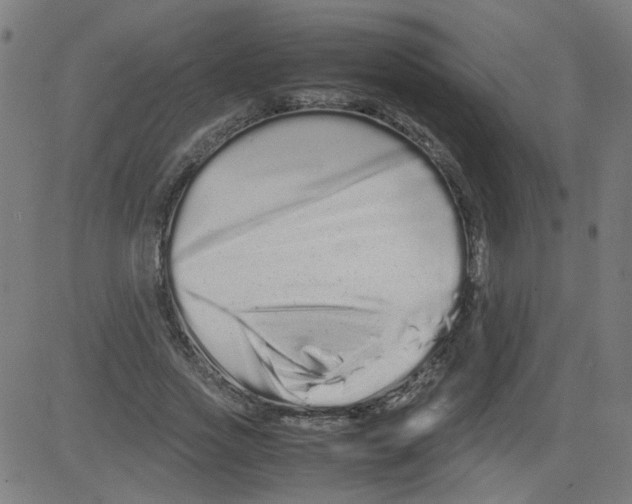 X0000081430733200702092159