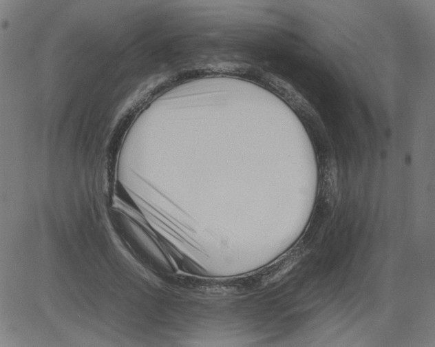 X0000081430734200702092159