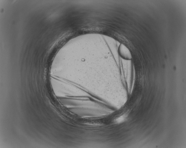 X0000081430735200702092159