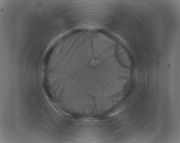 X0000081430736200702092159