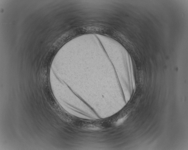 X0000081430737200702092159