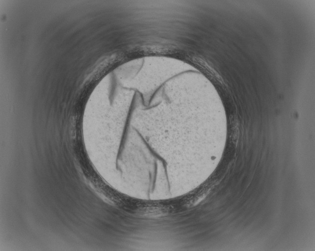 X0000081430738200702092159