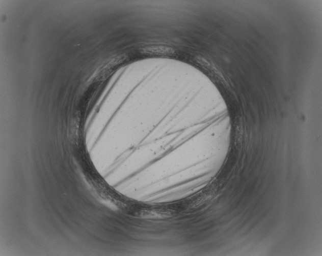 X0000081430739200702092159