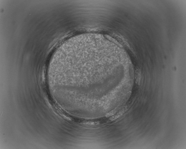 X0000081430740200702092159