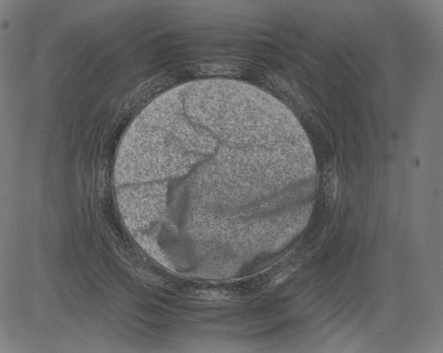 X0000081430741200702092159