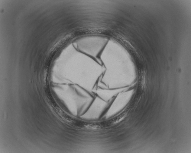 X0000081430742200702092159