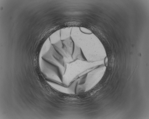 X0000081430743200702092159