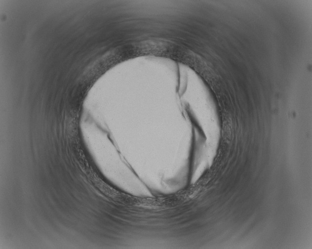 X0000081430745200702092159