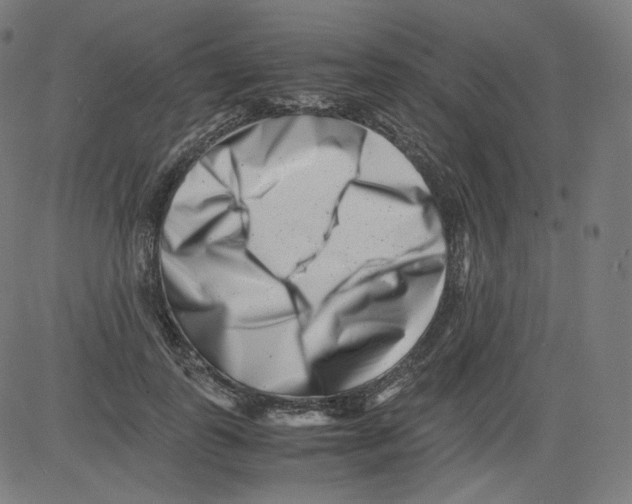 X0000081430747200702092159