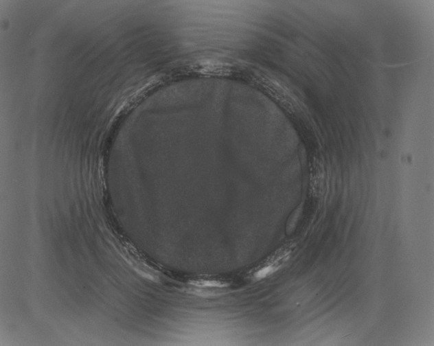 X0000081430748200702092159