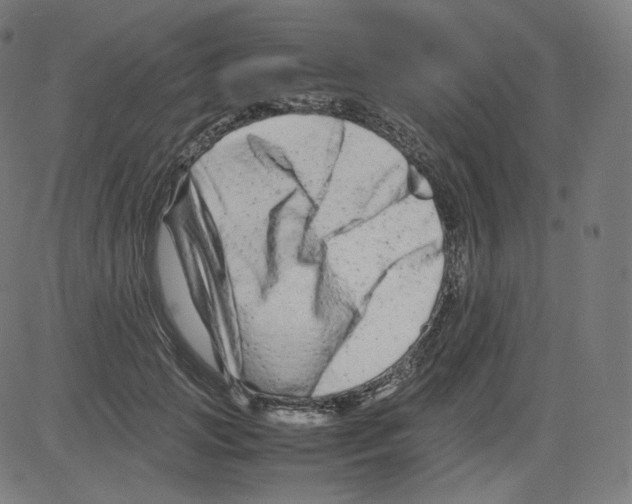 X0000081430749200702092159